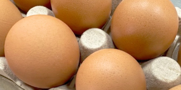 Eggs and Cholesterol