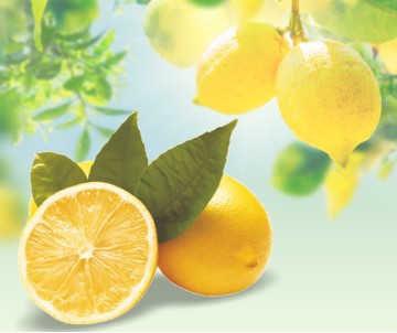 AROMA LIMONE neutro