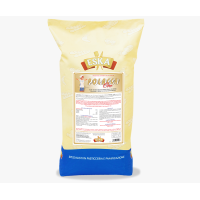 POLACCA ORO