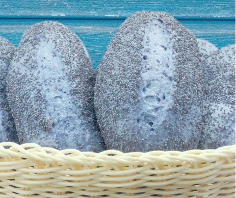 PAN AZZURRO