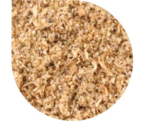 PAN DEK CORIANDER