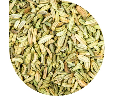 PAN DEK FENNEL