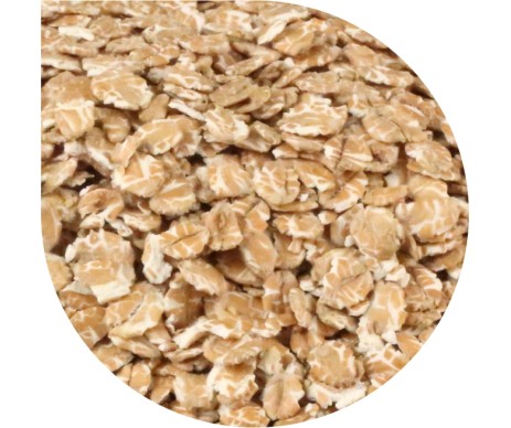 PAN DEK WHEAT