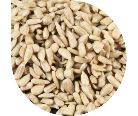 PAN DEK SUNFLOWER
