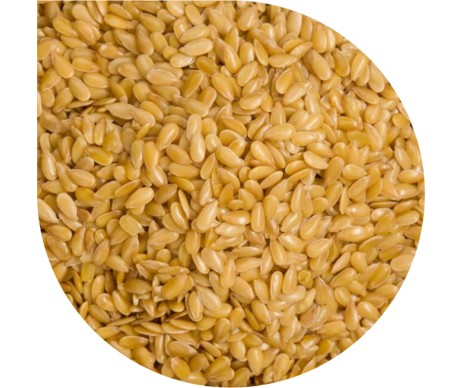 PAN DEK GOLDEN FLAX