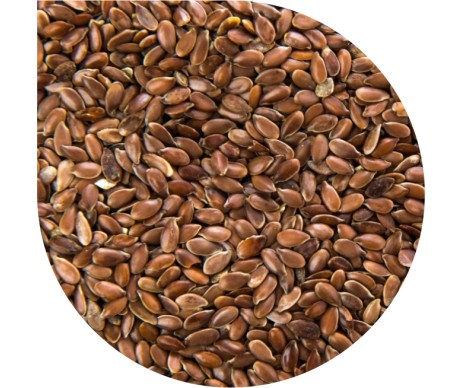 PAN DEK DARK FLAX