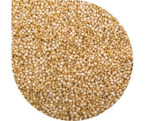 PAN DEK MILLET