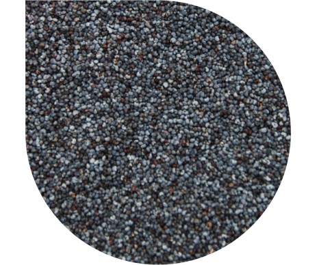 PAN DEK BLUE POPPY