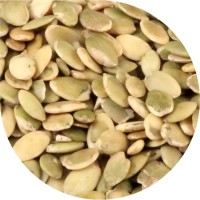 PAN DEK ZUCCA PAN DEK ZUCCA