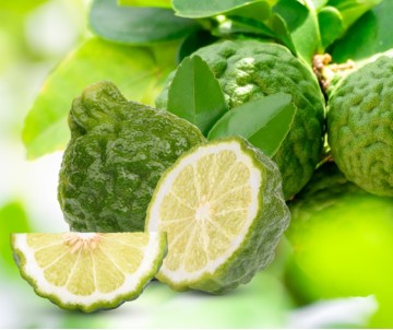 AROMA BERGAMOTTO