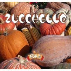 Zucchello