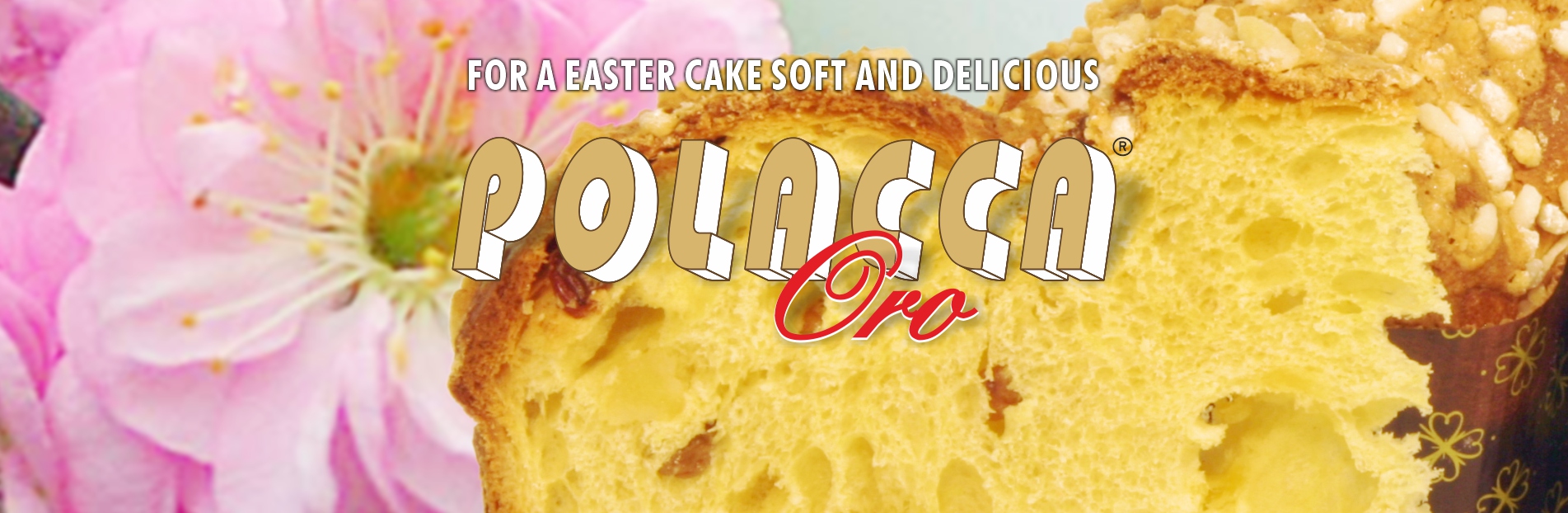 POLACCA ORO